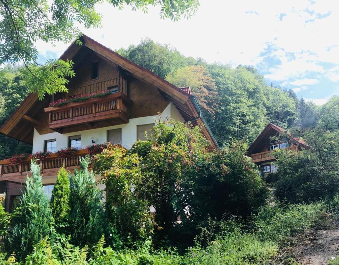 Haus Sigmund Apartment Oberharmersbach Ngoại thất bức ảnh