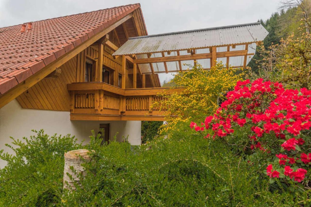 Haus Sigmund Apartment Oberharmersbach Ngoại thất bức ảnh